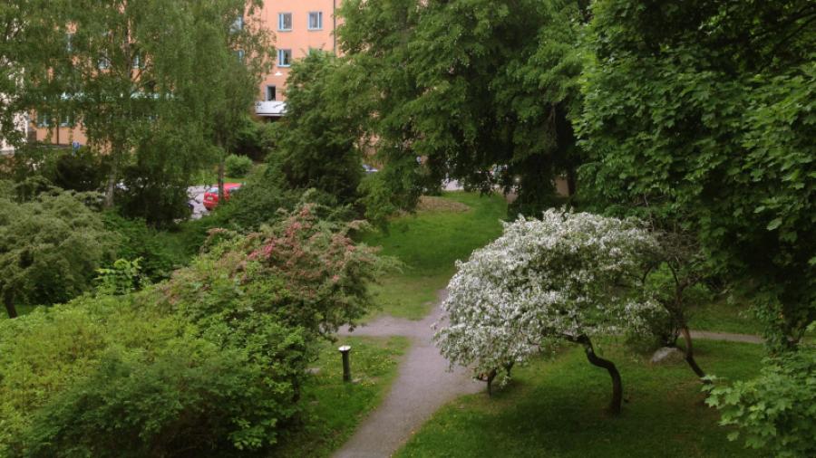 Tora Dahls Park på andra sidan Fredhällsgatan.